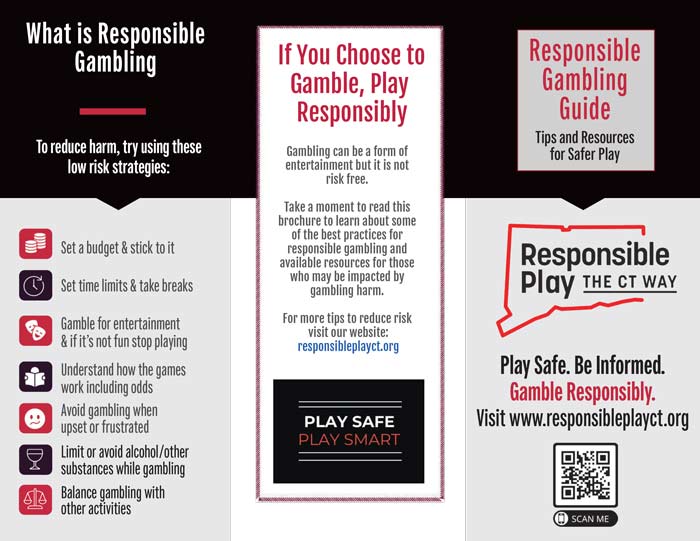 Problem Gambling Support