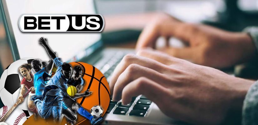 Beginners Guide to Betting