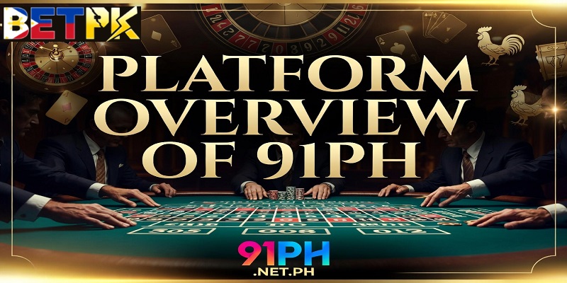Platform Overview of 91PH
